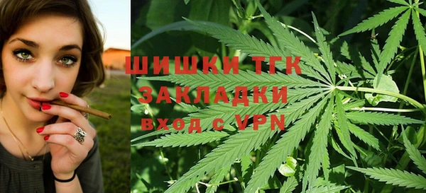 индика Баксан