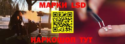 индика Новодвинск