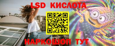 ECSTASY Новозыбков