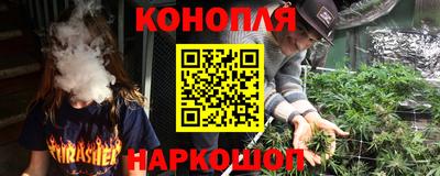 индика Новодвинск