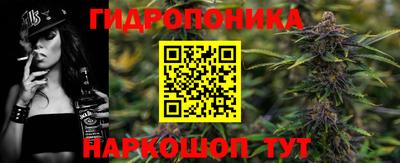 ECSTASY Новозыбков