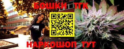 индика Новодвинск