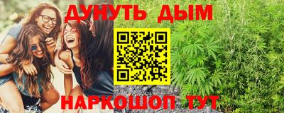 индика Новодвинск