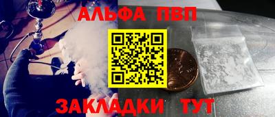 ECSTASY Новозыбков