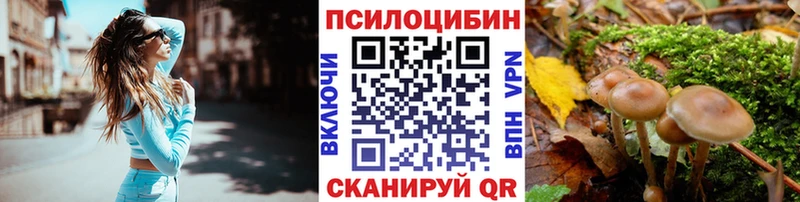 что такое наркотик  Похвистнево  Галлюциногенные грибы Psilocybine cubensis 