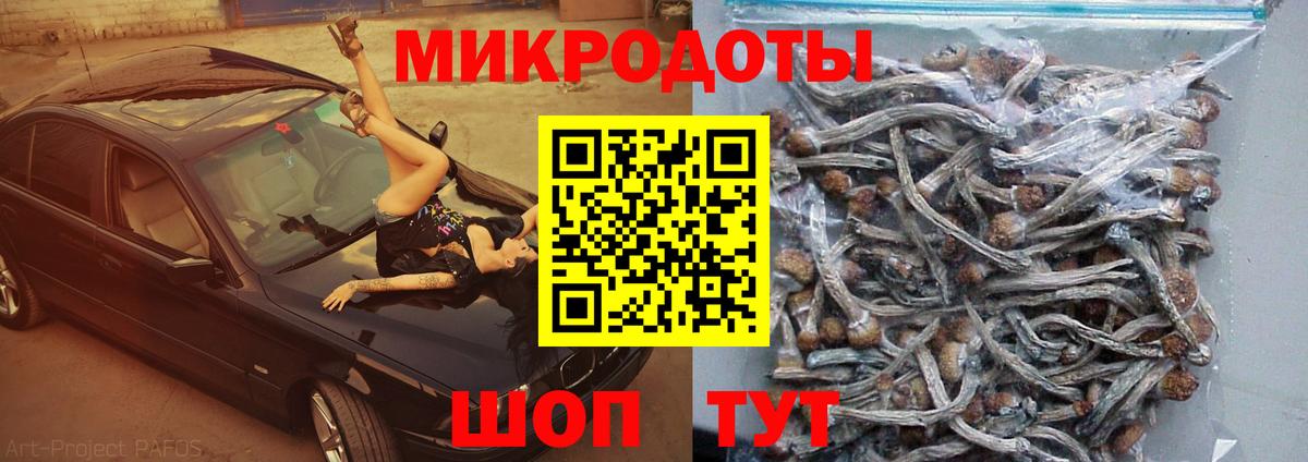 Псилоцибиновые грибы MAGIC MUSHROOMS  Вход с VPN  Похвистнево 